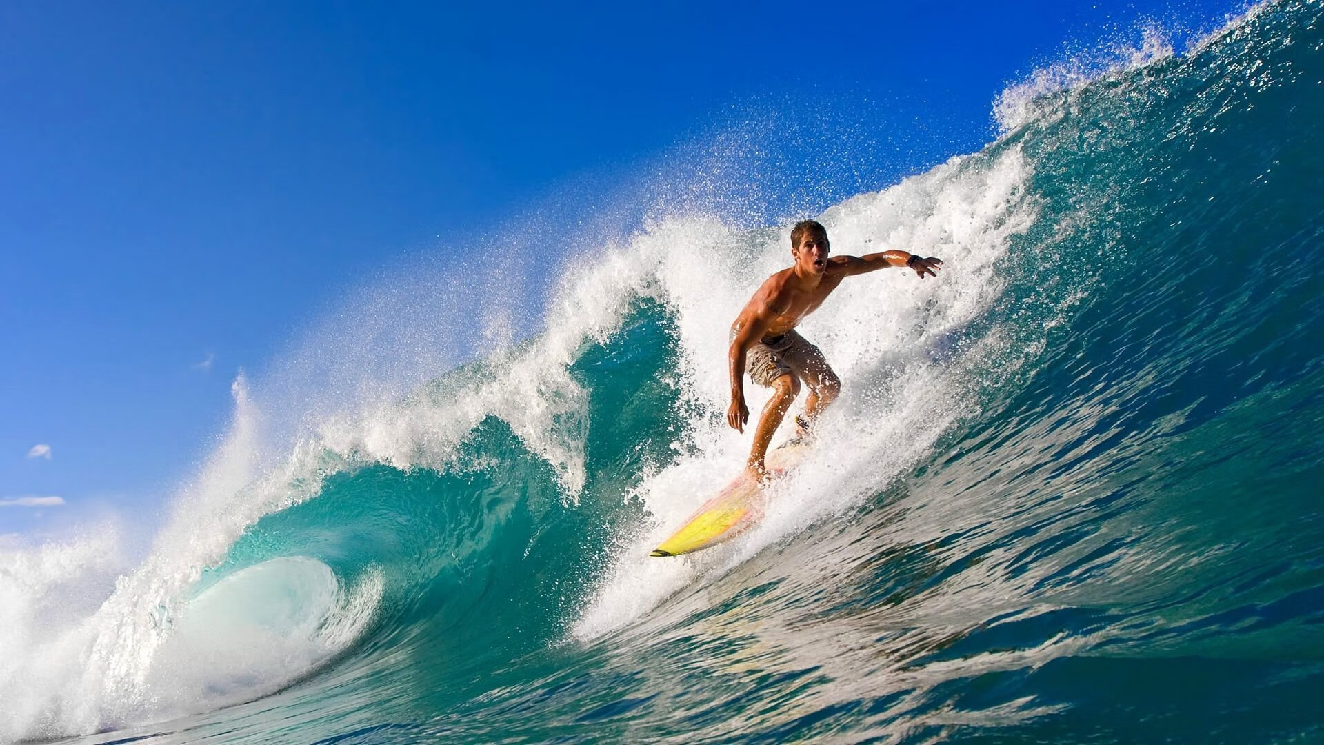 全面解析:哪个战术体系最具杀伤力?,有哪些战术打法